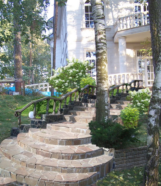 Как спланировать ландшафтный дизайн с нуля: пошаговое руководство для начинающих